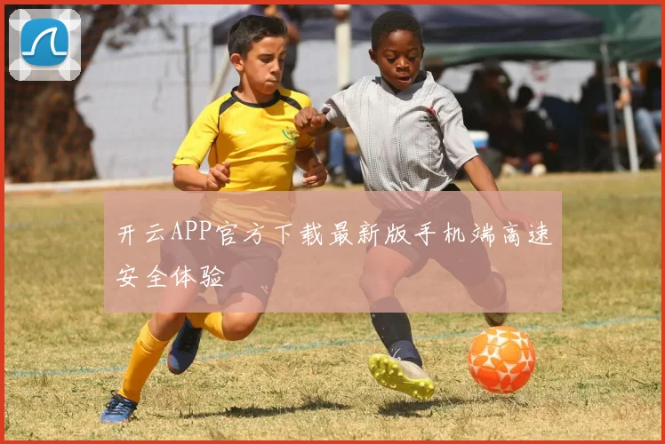 开云APP官方下载最新版手机端高速安全体验