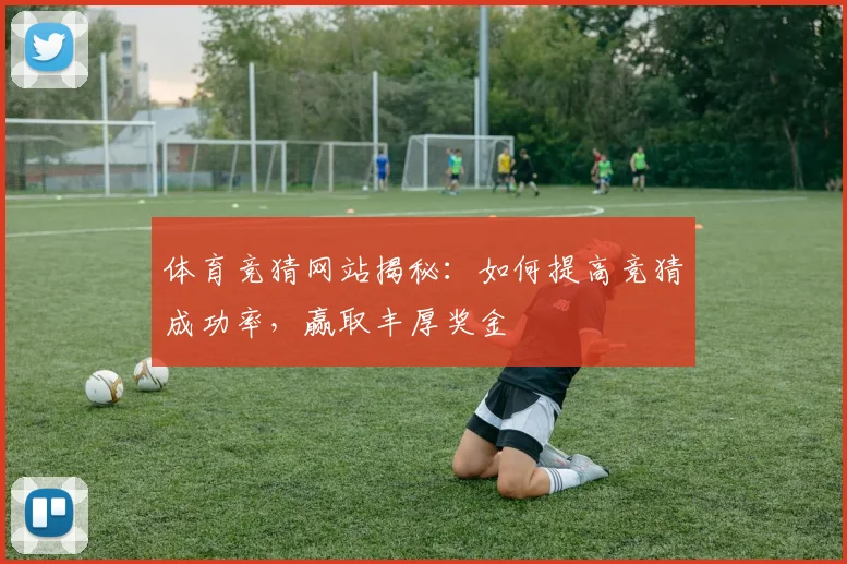 体育竞猜网站揭秘：如何提高竞猜成功率，赢取丰厚奖金