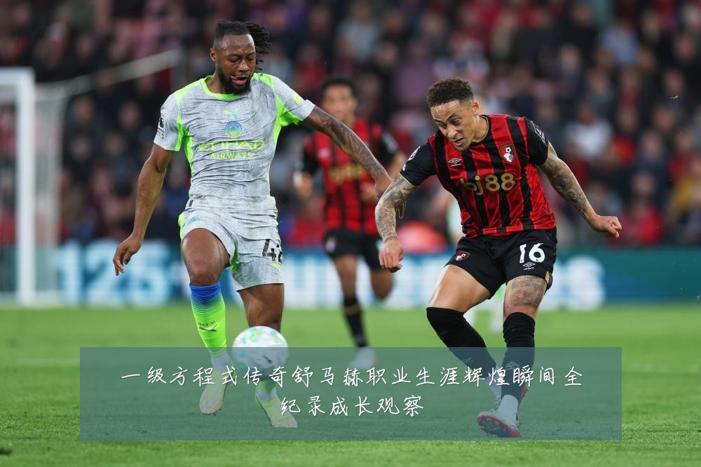 一级方程式传奇舒马赫职业生涯辉煌瞬间全纪录成长观察