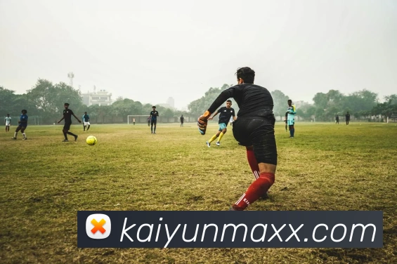 开云平台展示图