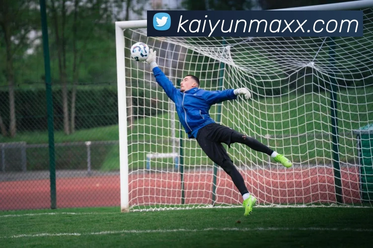 开云娱乐全站App